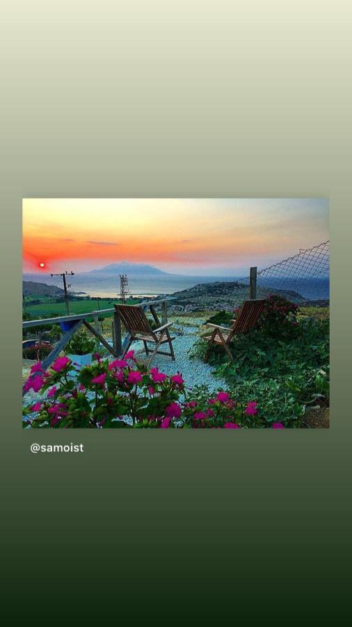 Dimitri Ada Evi & Restaurant 호텔 İmroz 외부 사진