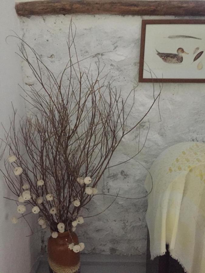 Dimitri Ada Evi & Restaurant 호텔 İmroz 외부 사진