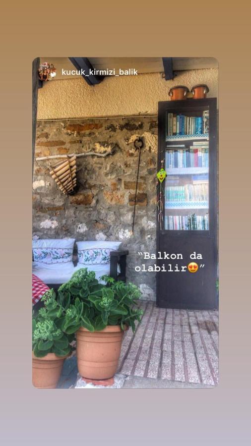 Dimitri Ada Evi & Restaurant 호텔 İmroz 외부 사진